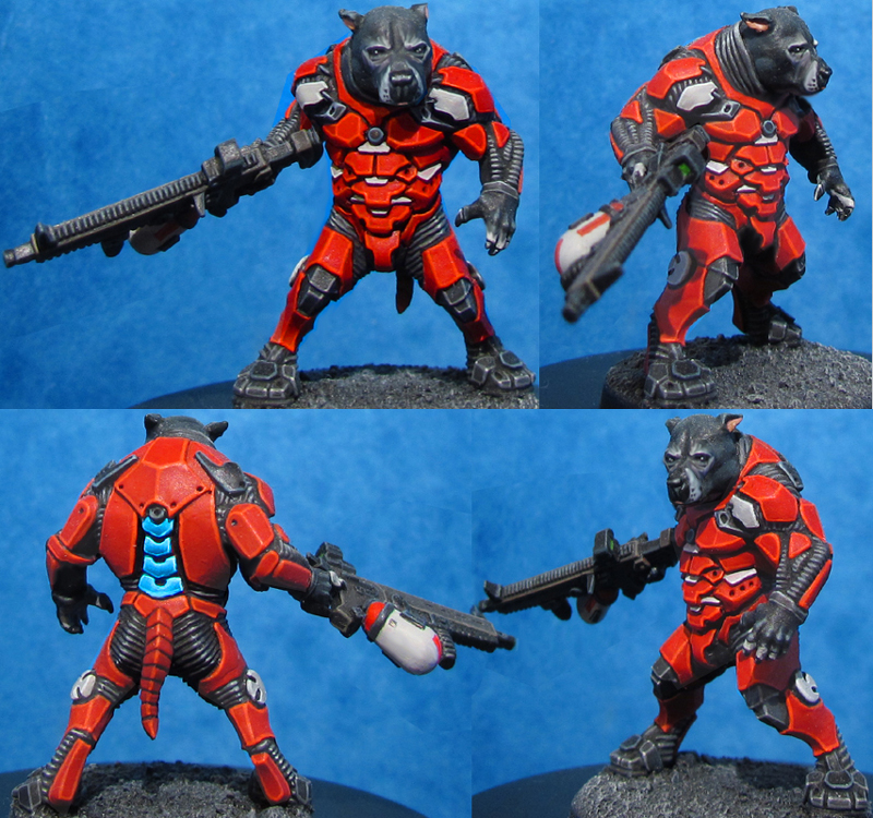 atom rpg dog armor